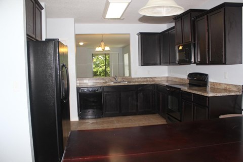 a kitchen with black cabinets and a black refrigerator