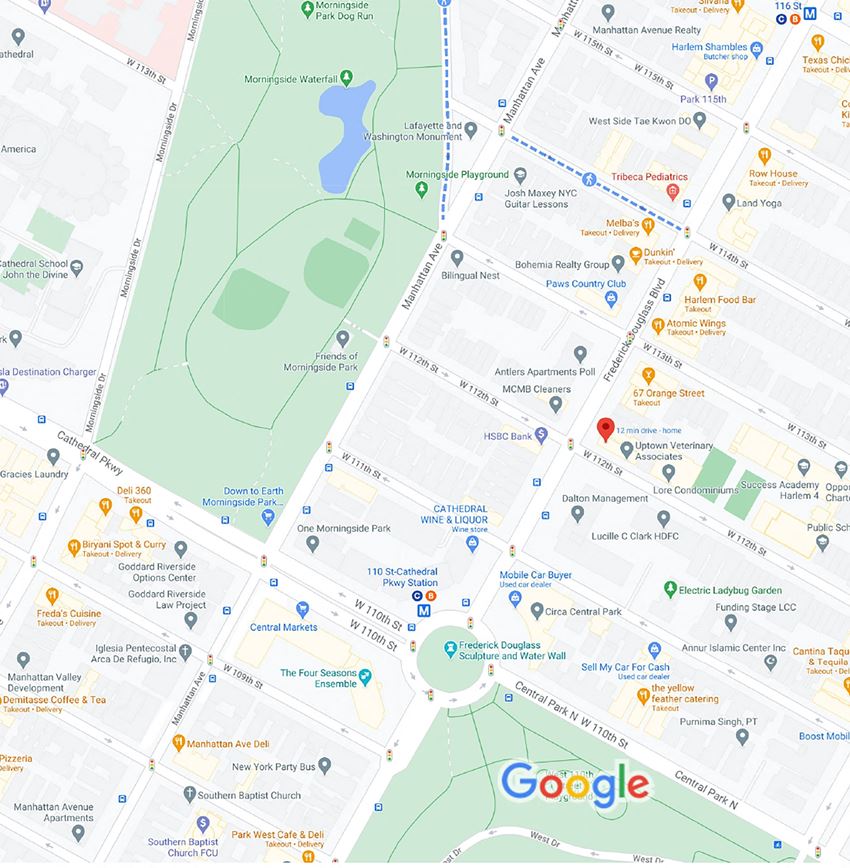 a screenshot of a google map with a google logo on it