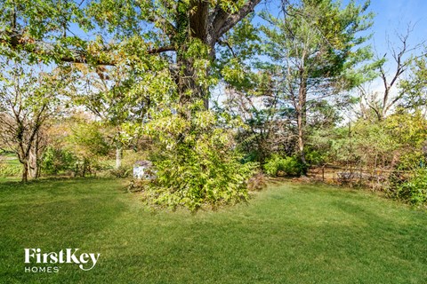 A lush green lawn with trees and a house in the background.