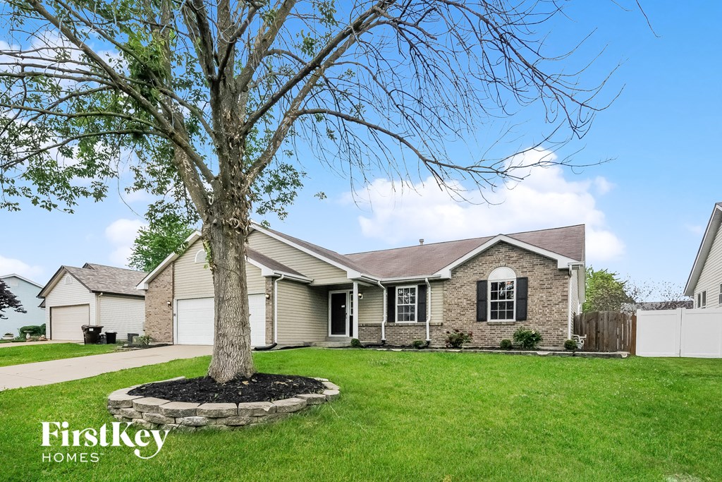 a home with a large tree in the front yard