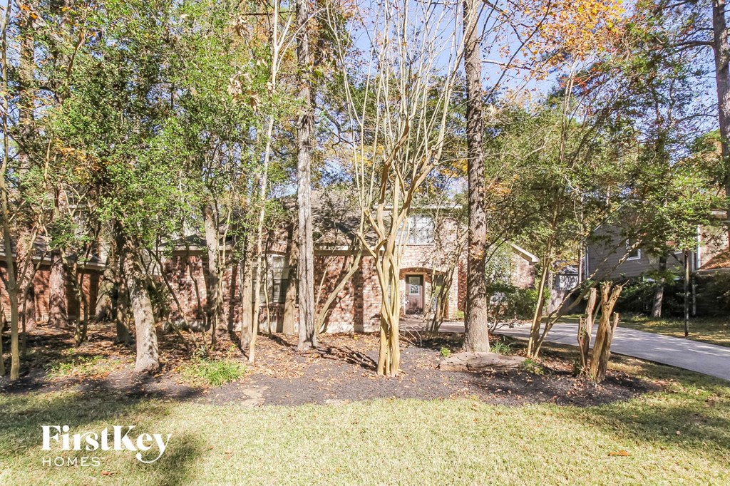 a group of trees in front of a house