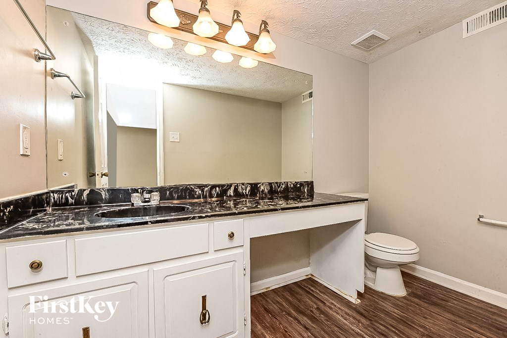 a bathroom with a sink and a toilet and a mirror