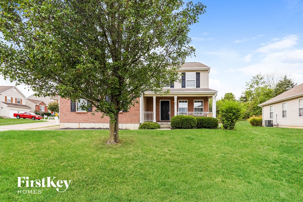 A tree stands in a grassy front yard of a brick house.