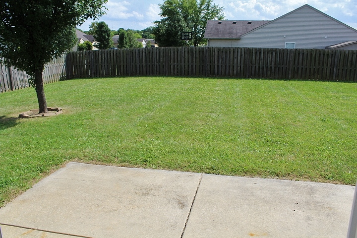 a yard with a tree and a fence
