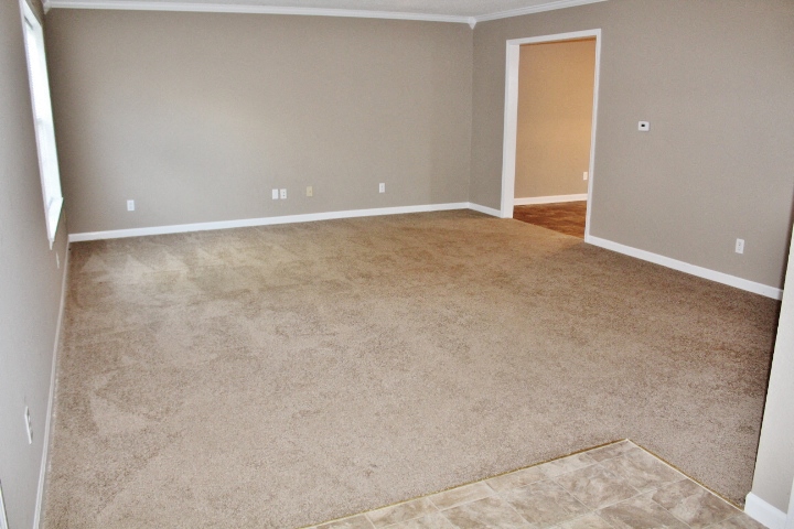 an empty living room with carpet and a door