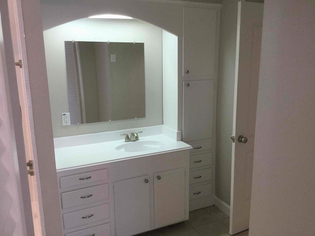a bathroom with a sink and a mirror