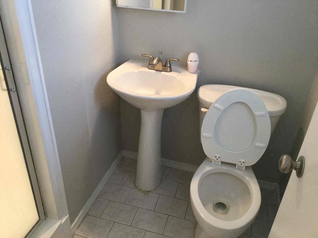 a bathroom with a sink and a toilet with the seat up