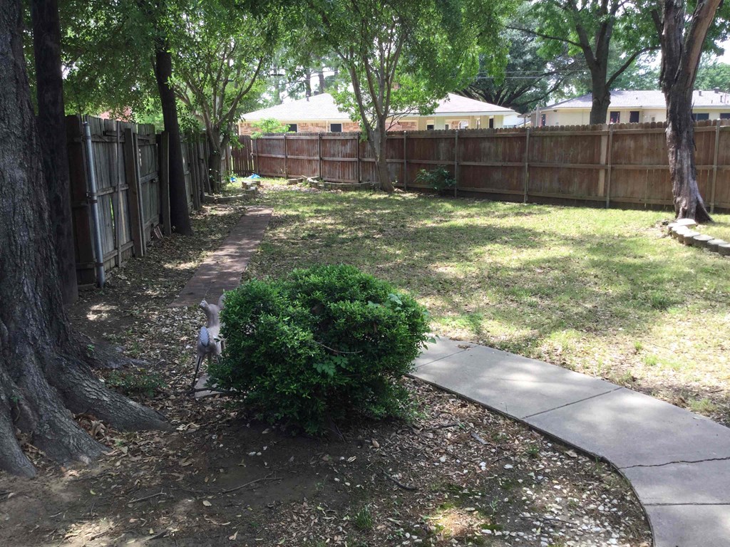 a back yard with a fence and a cat on the sidewalk