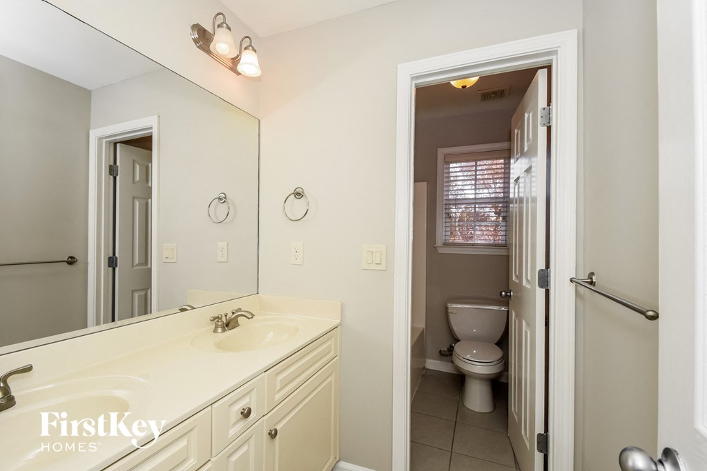 a bathroom with a sink and a mirror and a toilet