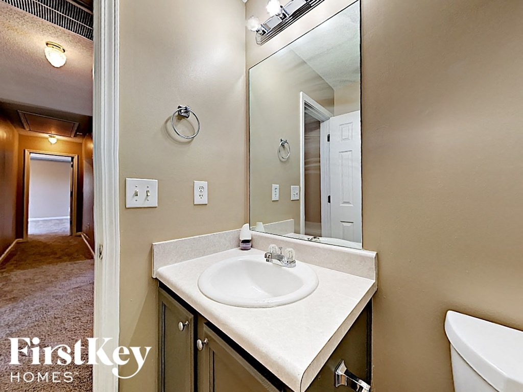 a bathroom with a sink and a large mirror