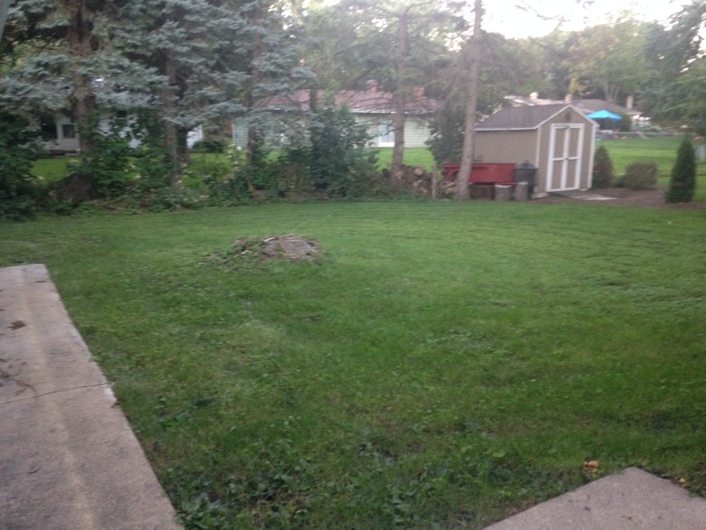 185 Pauline Dr 3 Beds House for Rent - Photo gallery 3