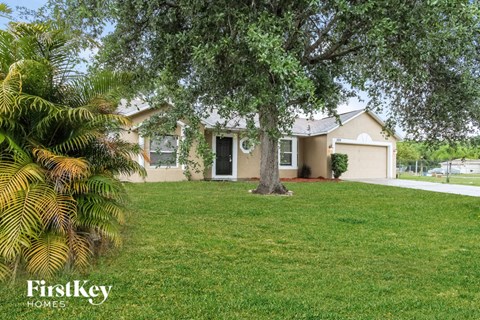 A tree in a yard with a house in the background.