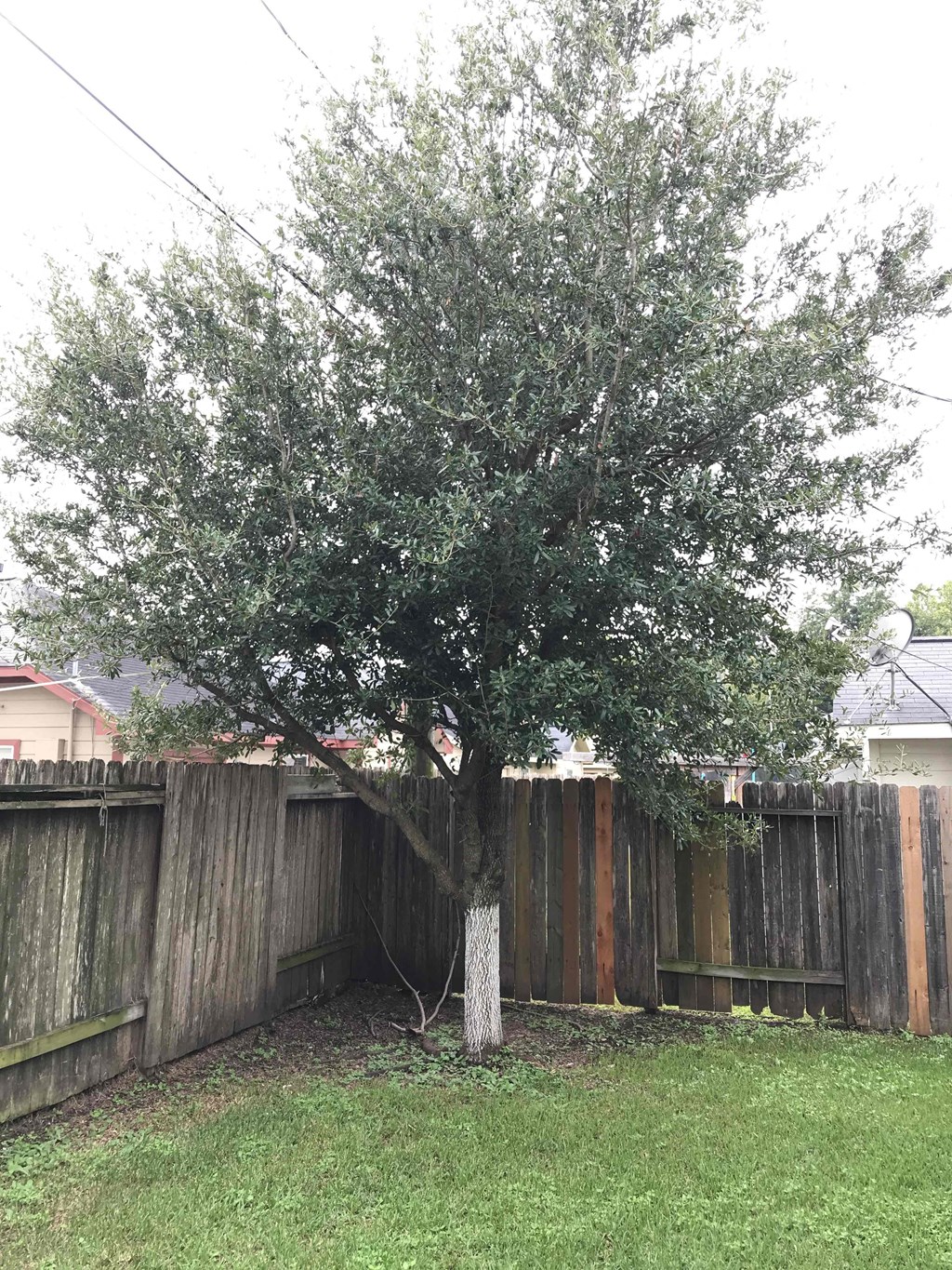 214 N. Native Lane 3 Beds House for Rent - Photo Gallery 18