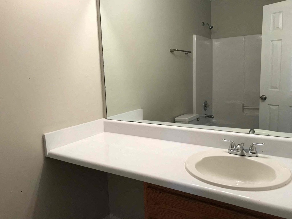 a bathroom with a sink and a mirror