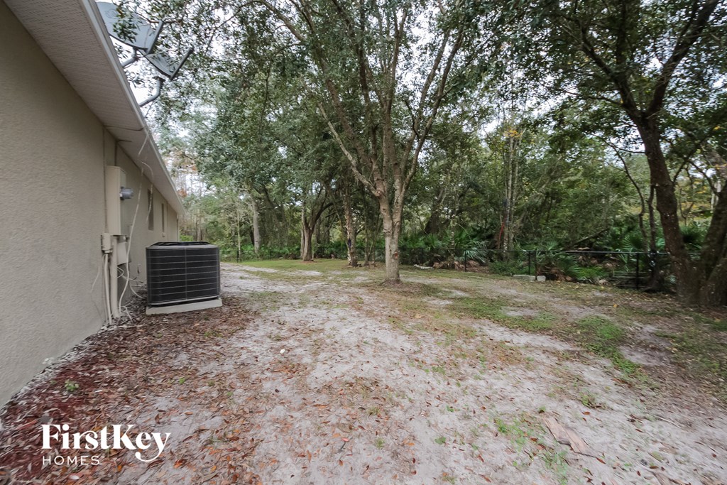 A backyard with a tree and a building.