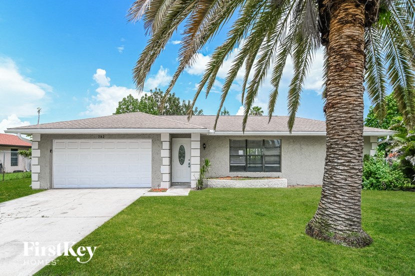 a white house with a palm tree in the yard