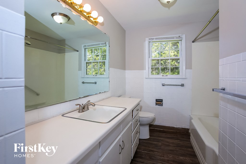 a bathroom with a sink and a toilet and a mirror