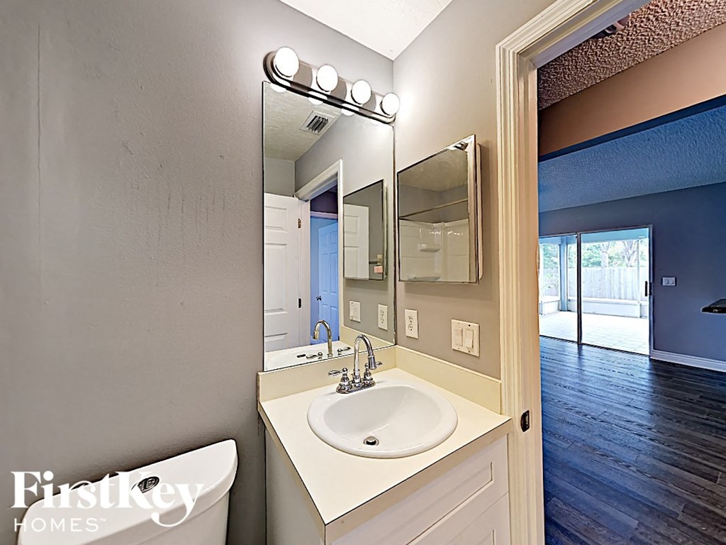 a bathroom with a sink and a large mirror