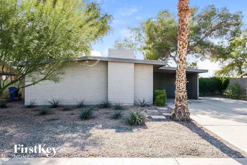 a white house with a palm tree in front of it