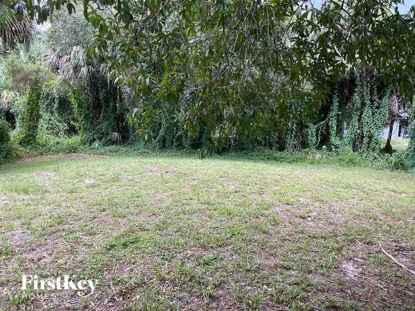 a field of grass with trees in the background