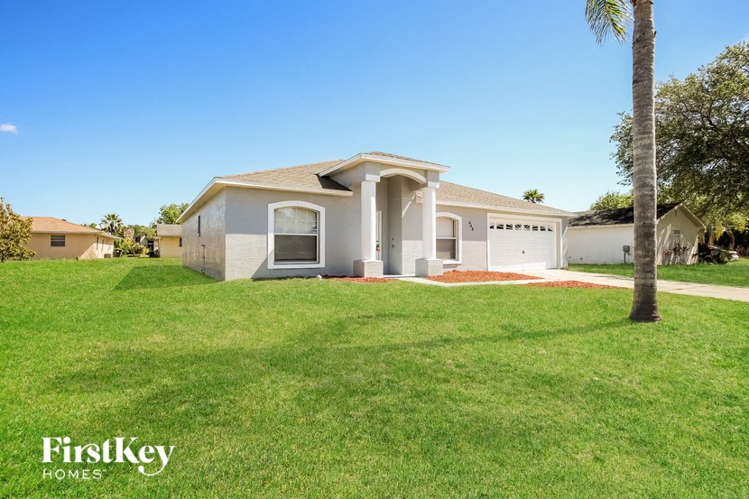 a house with a lawn and a palm tree