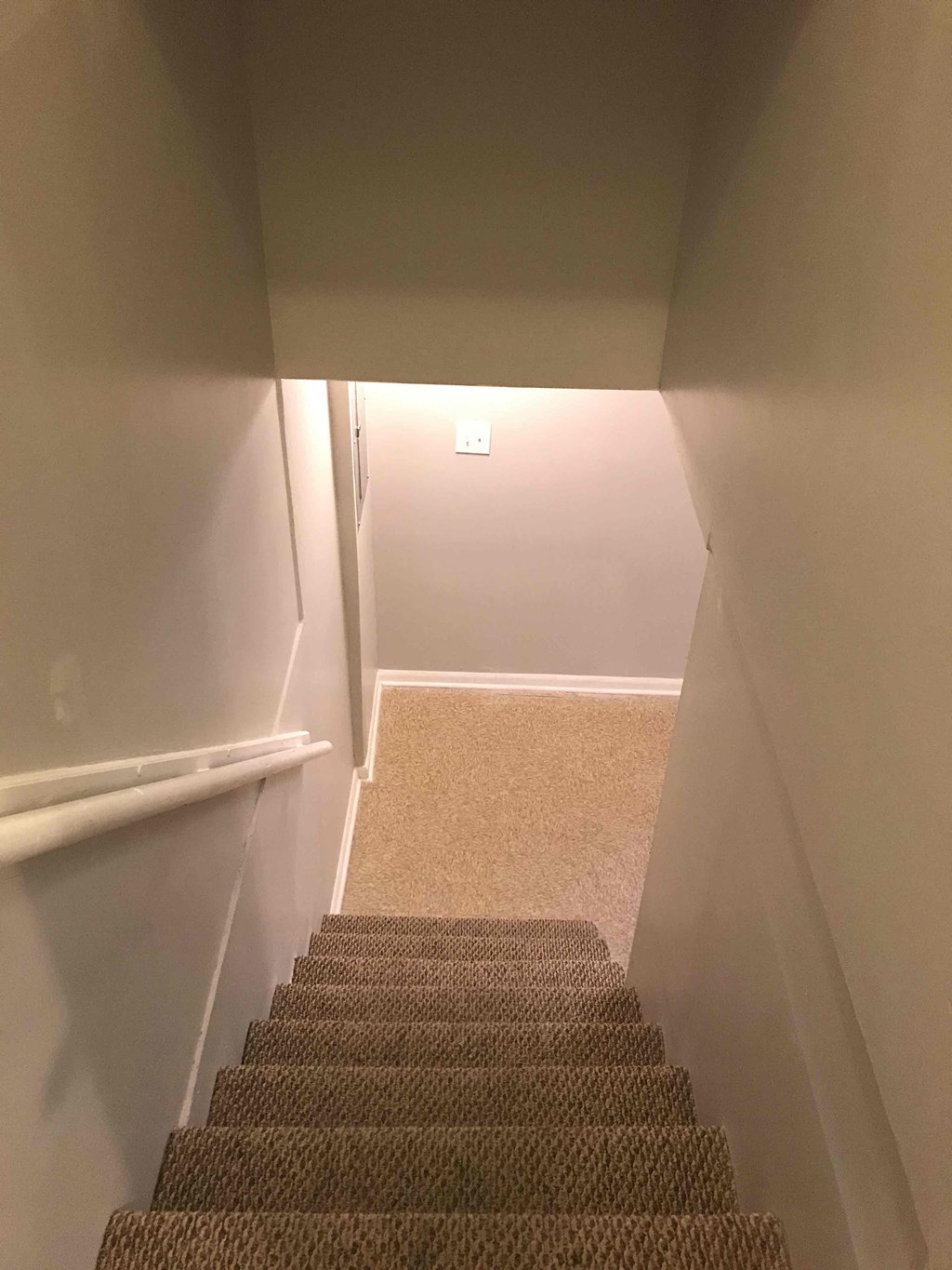 a carpeted stairway with carpeted stairs and white walls