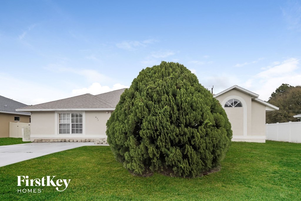 a large tree in front of a house
