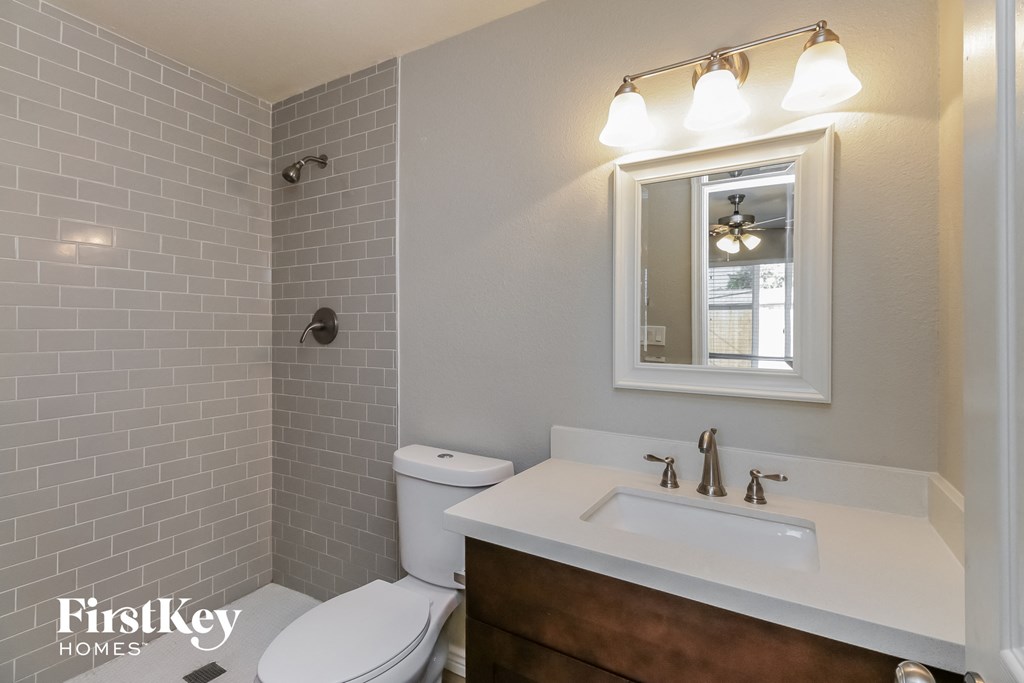 a bathroom with a sink and a toilet and a mirror