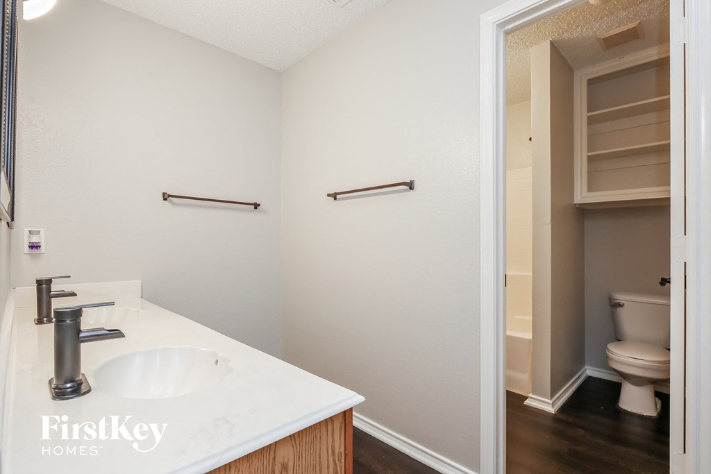 a bathroom with a sink and a toilet and a closet