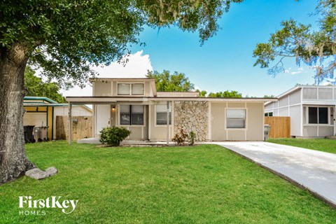 a house with a lawn and a tree in front of it