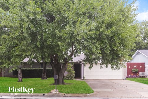 A tree in front of a house with a mailbox.