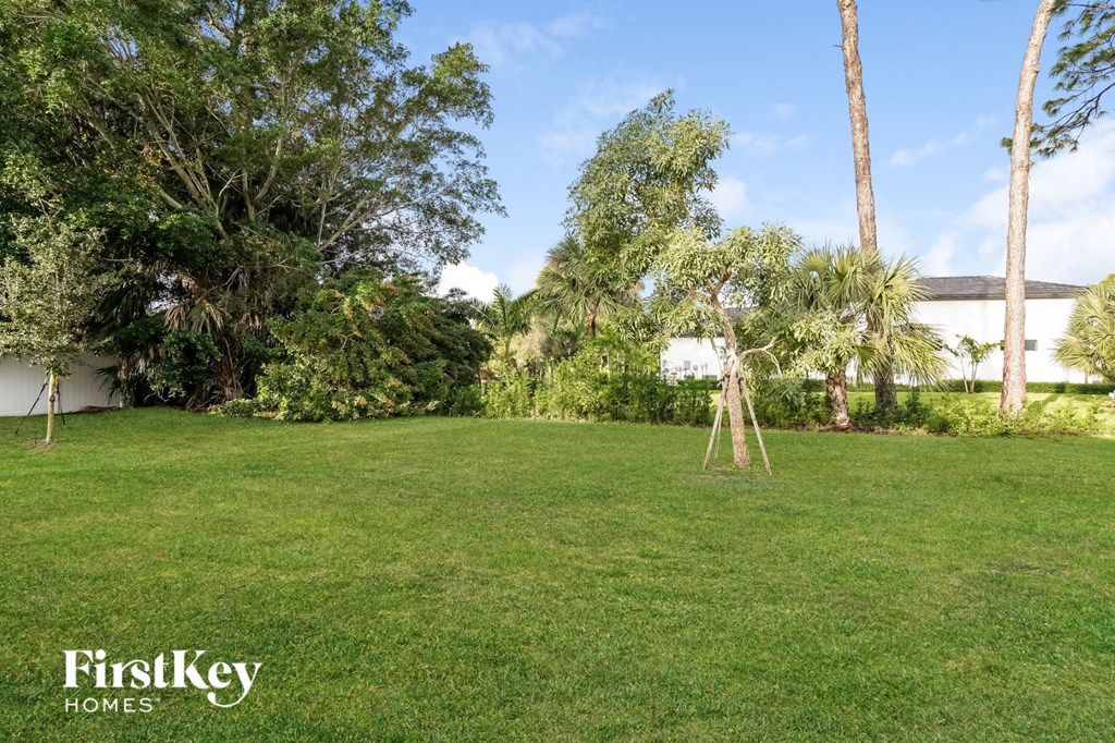 A lush green lawn with trees and a building in the background.