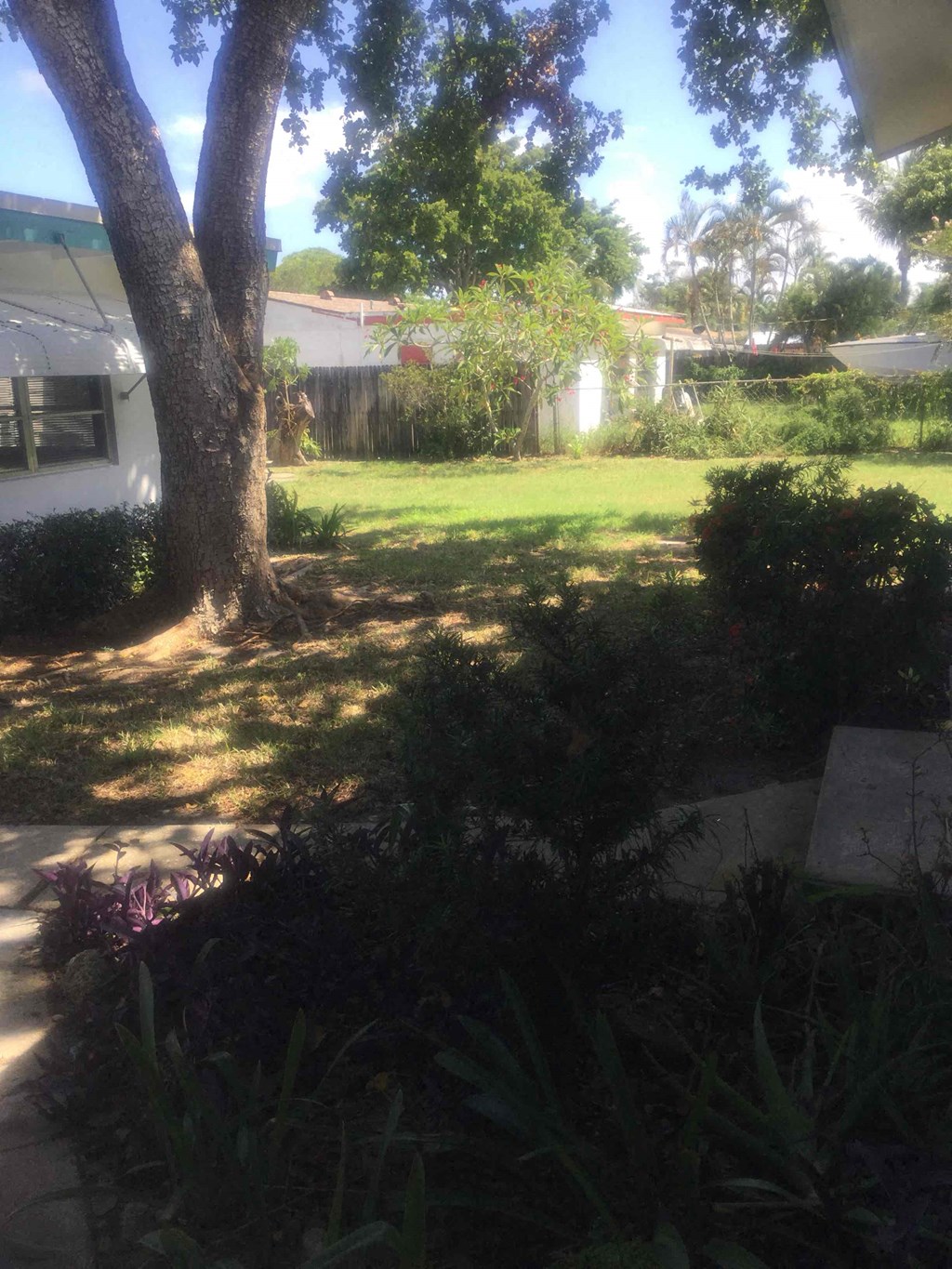 a yard with a tree and a house in the background