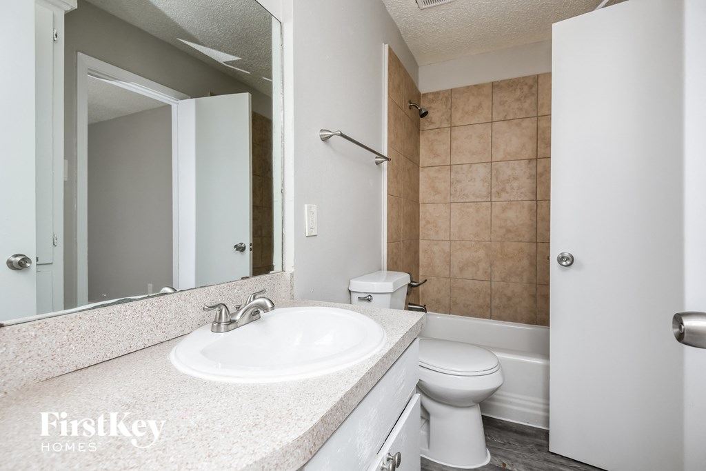 a bathroom with a sink and a toilet and a mirror