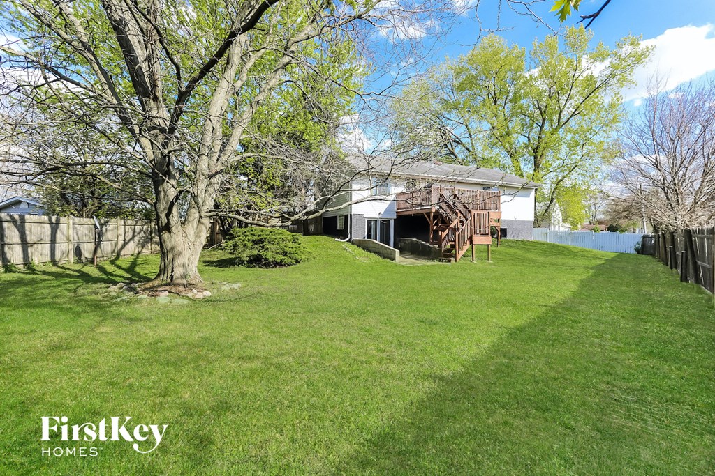A tree stands in a grassy yard in front of a house.