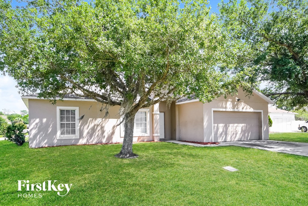 a house with a tree in the front of it