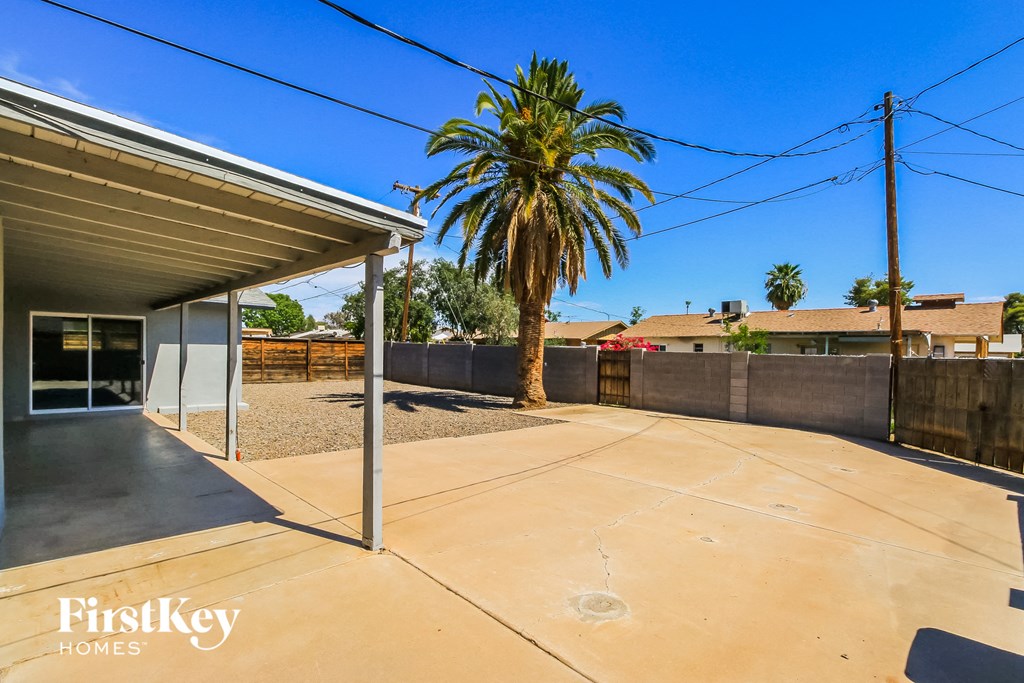 a large patio with a palm tree in the middle of it