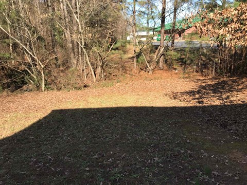 A shadow of a tree is cast on a grassy area.