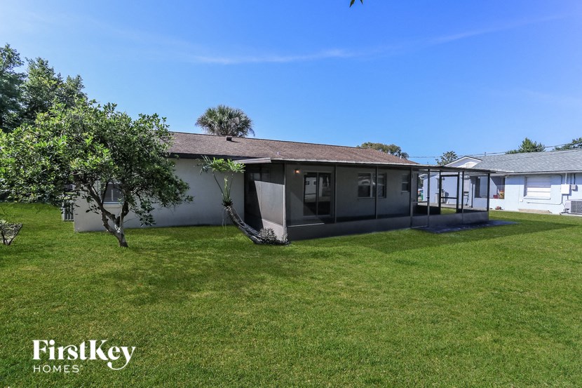 a small white house with a yard and a tree