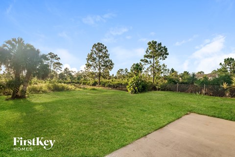 a park with green grass and trees and a sidewalk