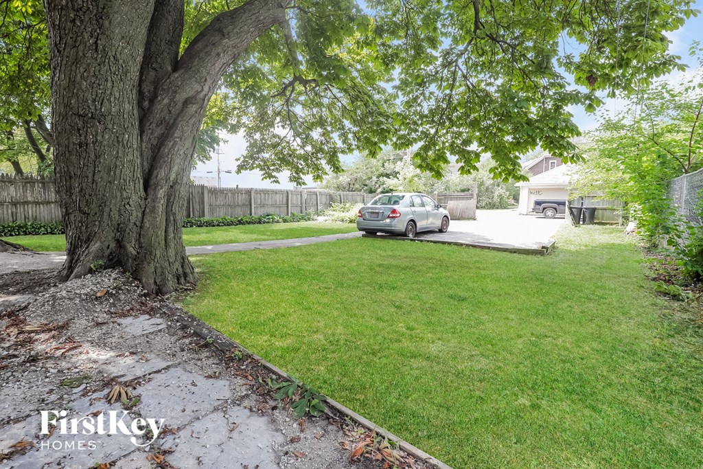 a car parked under a tree in a yard
