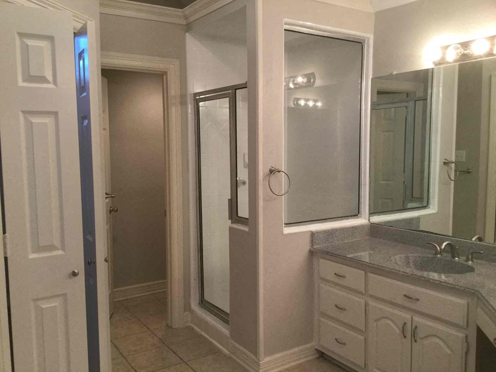 a bathroom with a sink and a shower and a mirror