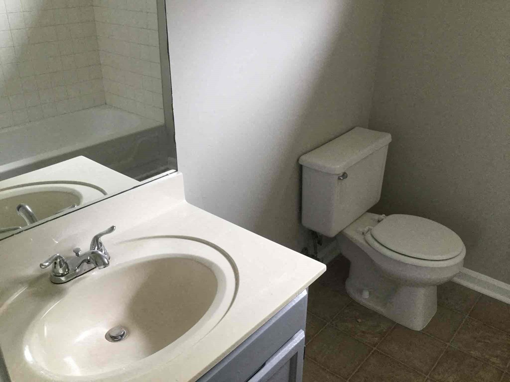 a bathroom with a sink and a toilet and a mirror