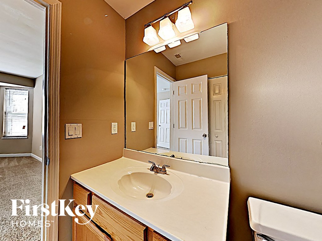 a bathroom with a sink and a large mirror