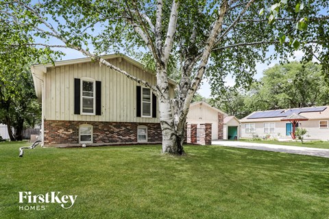 a white birch tree in the front yard of a house