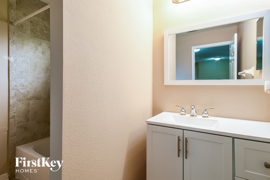 a bathroom with a sink and a mirror and a shower