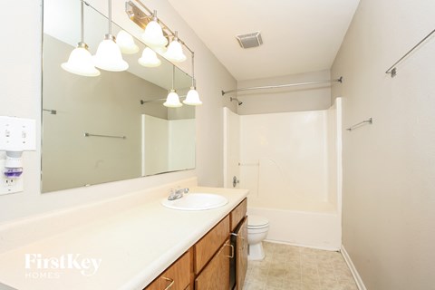 a bathroom with a sink and a mirror and a toilet