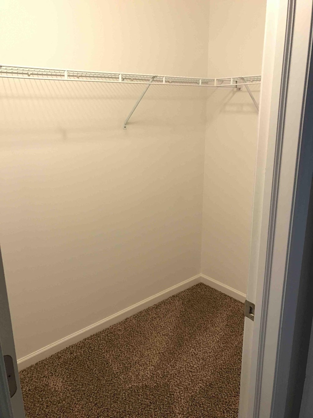 a small bathroom with a shower and a carpet