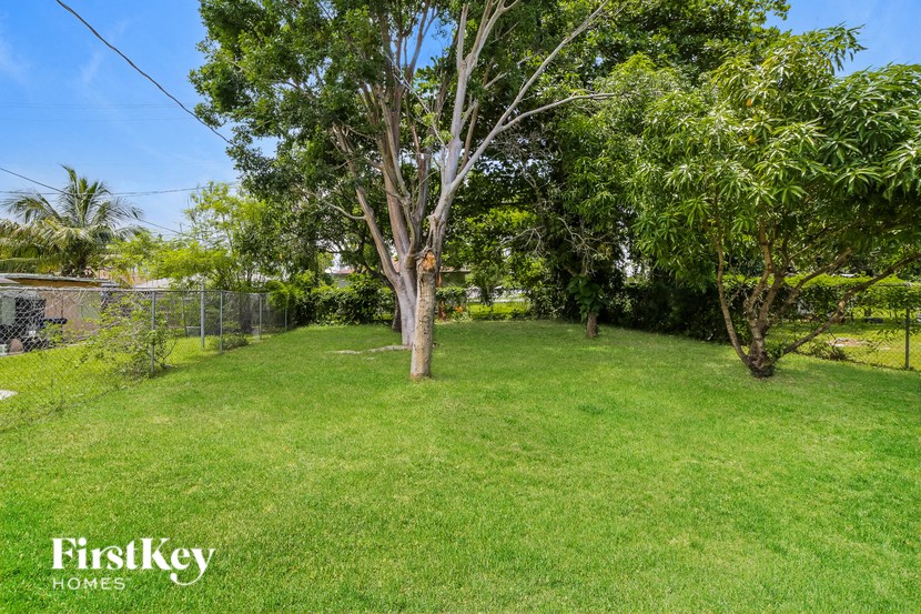 a backyard with a tree in the middle of the grass