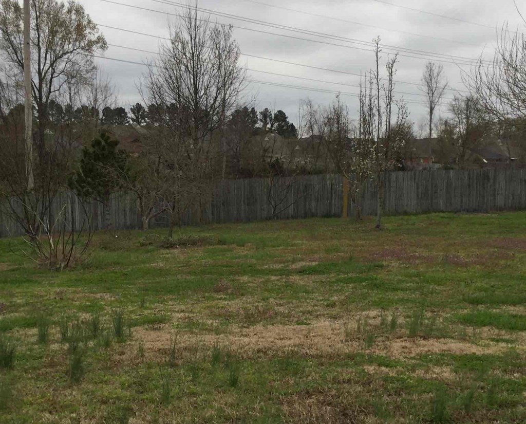 a yard with a fence and some trees